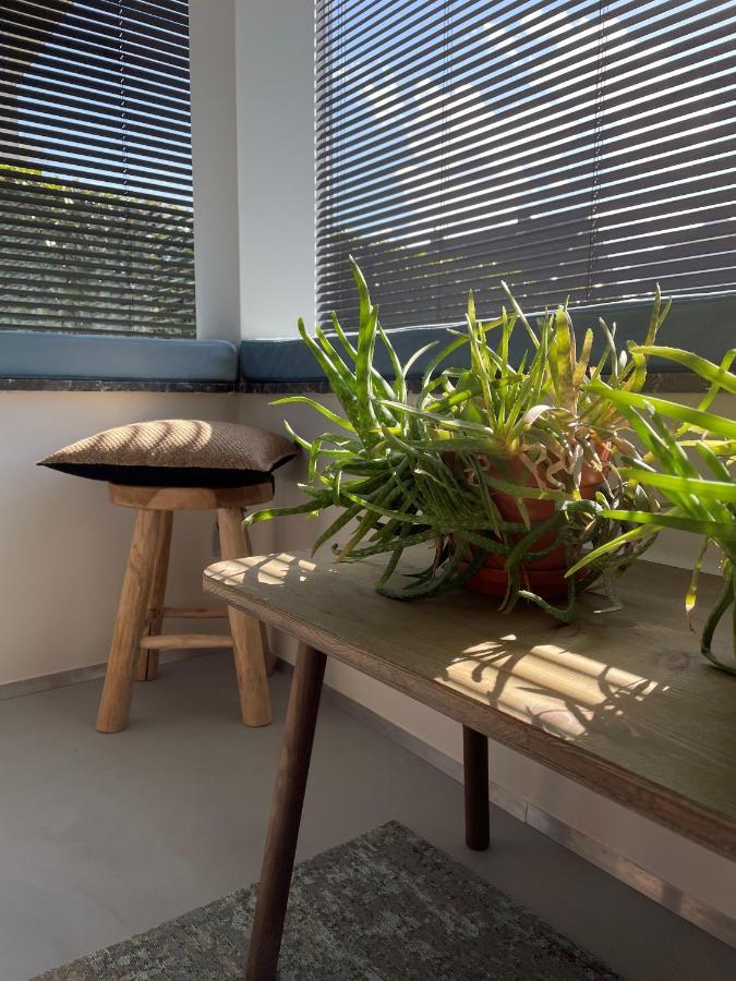 Vakantiehuis Cerise, Luxueus Genieten In De Leiestreek 데인제 외부 사진